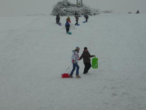 Sáňkování - celoškolní akce (13.1.2010)