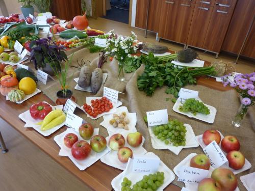 Výstava ovoce a zeleniny 2016
