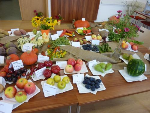 Výstava ovoce a zeleniny 2016