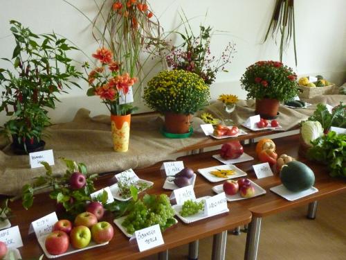 Podzimní výstava ovoce, zeleniny, květin 2013
